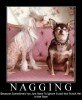 Nagging - Funny Picture