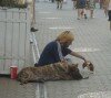 Uncommon Ways of Begging - 20 - Funny Picture